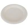 ChampWare Heavyweight White Bagasse Plate, 10", 500/Carton