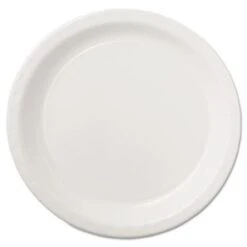 White Coated Paper Dinnerware Plate, 9", 500/Carton