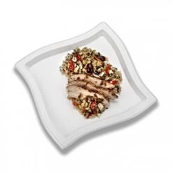 Emi Yoshi EMI-WP10 Square Wave Plastic Dinner Plate 10" - 10 Doz