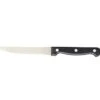 ITI IFK-411 8-7/8" ABS Handle Point End Steak Knife - 1 Doz